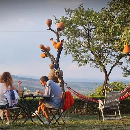 Cob Camp Panzió *