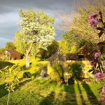 Cob Camp * Dŭbravite