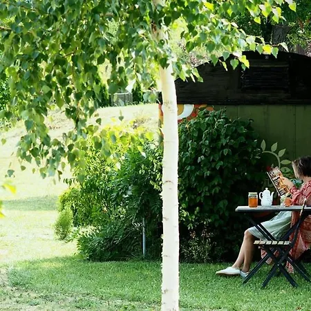 Cob Camp Bed & Breakfast *