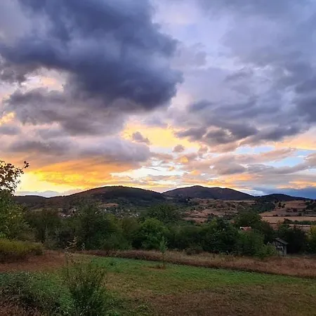 Cob Camp * Dŭbravite