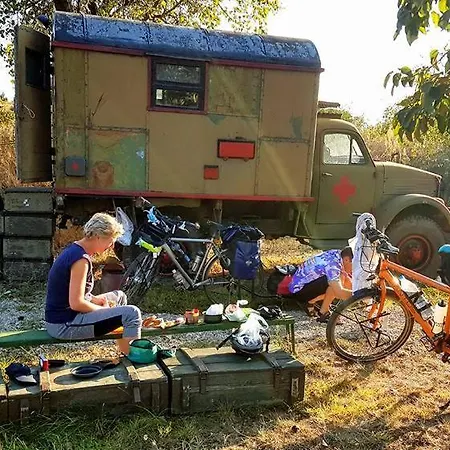 Cob Camp *
