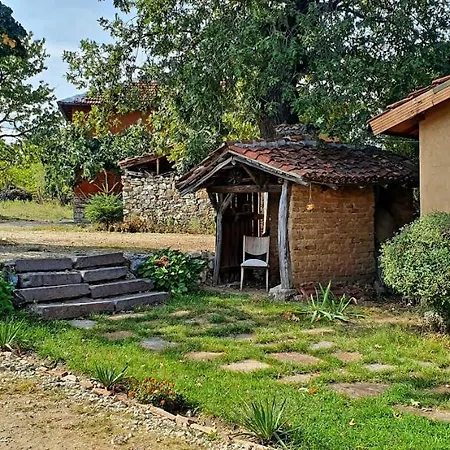 Panzió Cob Camp
