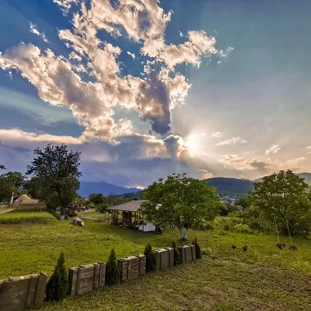 Cob Camp * Dubravite