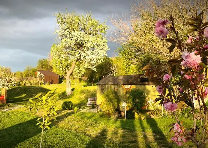 Cob Camp * Dabravite