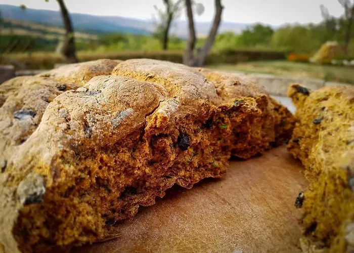 Cob Camp Nocleg ze śniadaniem