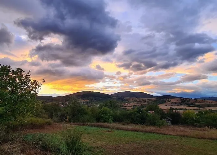 Cob Camp * Dabravite