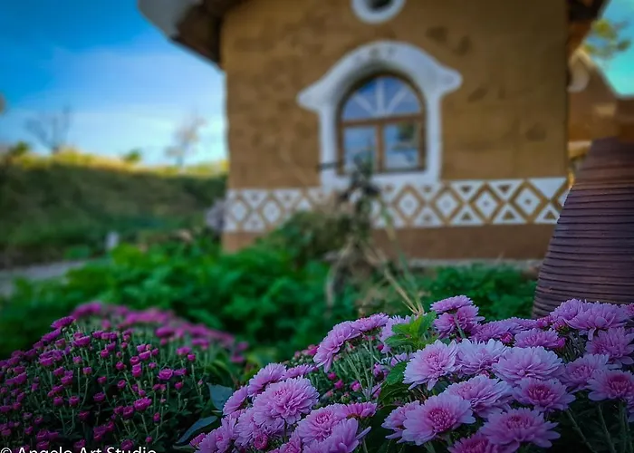 Cob Camp * Dŭbravite