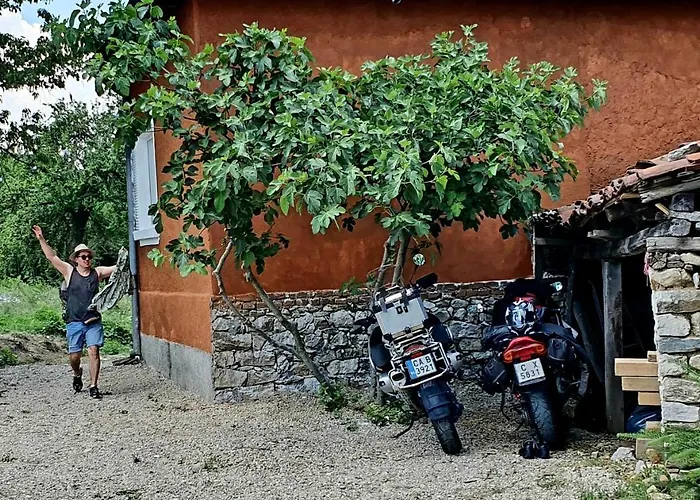 Cob Camp Nocleg ze śniadaniem *